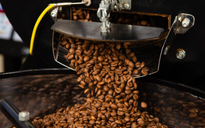 Você precisa conhecer essas iniciativas: Novakiev e Slow Food Coffee Coalision