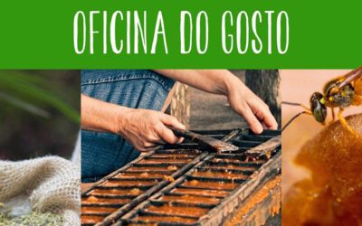 Mais uma Oficina do Gosto no Coletivo Alimentar