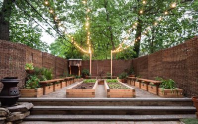 Olmsted: a novidade em NY