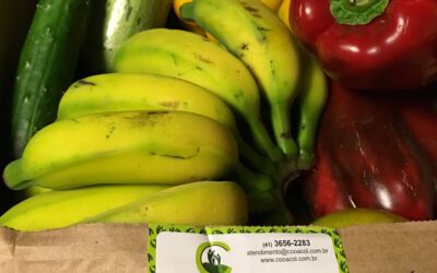Na feira e sacola cheia com menos de R$ 14,00