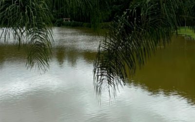 Início de ano com sabores, reflexões e inspirações