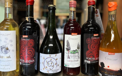 Vinum Terra: os vinhos naturais do Rio Grande do Sul