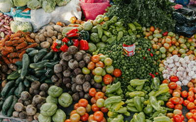 Mais plantas, menos carne