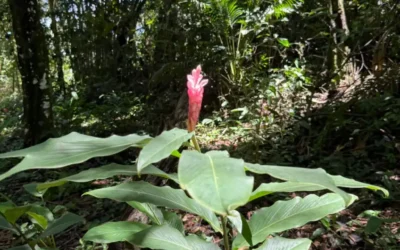 As mudanças que dão sentido