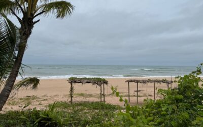 Divagações à beira mar Nariz