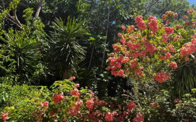 A verdade mora no que escolhemos lembrar