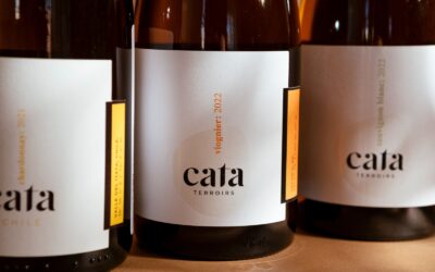 Verdades acerca do vinho